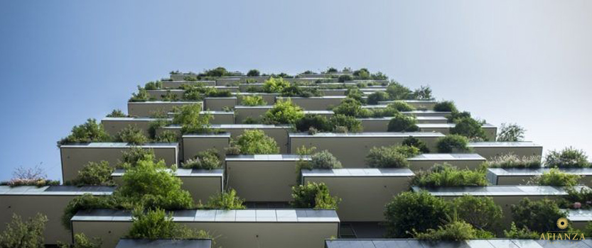 mercado-inmobiliario-alza